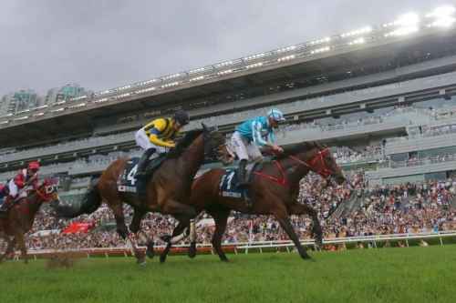 香港马会资料大全香港马会资料大全-第2张图片