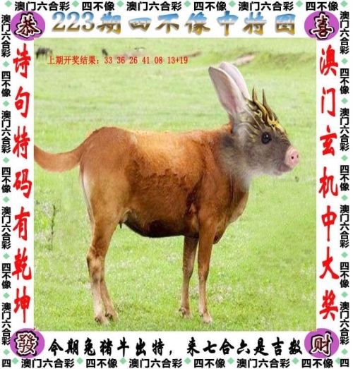2021一码一肖中特一码一肖，中特之探索-第2张图片