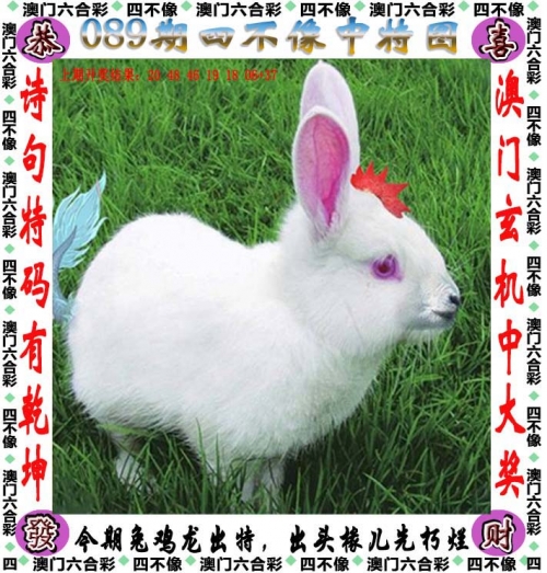 澳门特马今晚开奖53期关键词文章-第2张图片
