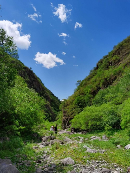 金马旅游团金马旅游团，探索美丽之旅-第3张图片
