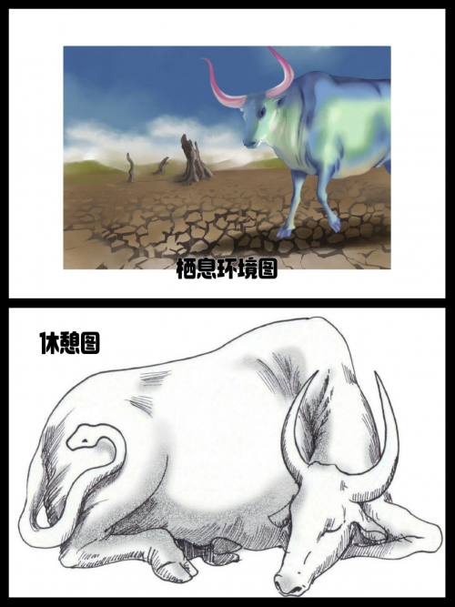 红足一，神秘生物的探索之旅-第1张图片