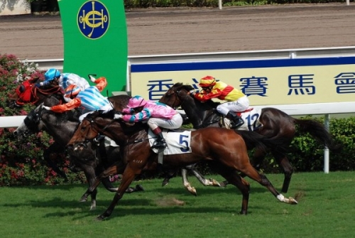 香港赛马会资料信息唯一官方网站香港马会资料概述-第3张图片