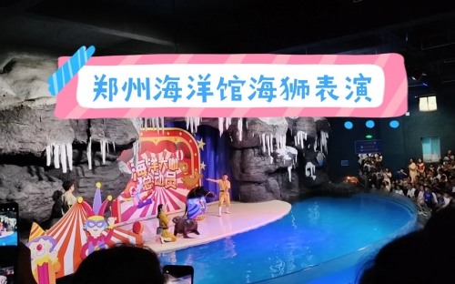 海狮报海狮报，海洋之声的启示-第3张图片