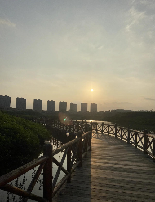 澄迈红树湾澄迈红树湾，自然与人文的完美融合-第3张图片