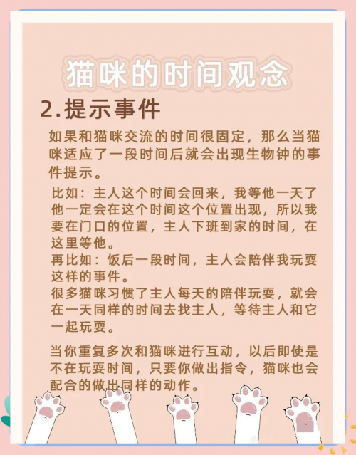 白猫图鉴白猫图纸，探索设计与技术的奥秘-第2张图片