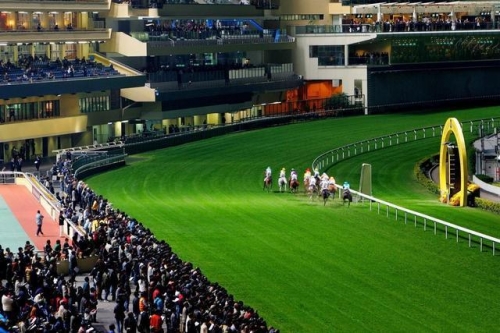 香港马会内部免费资源介绍