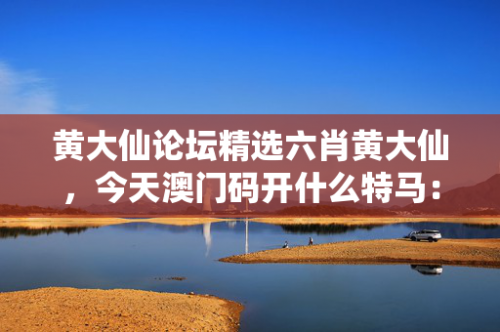 澳门论坛六肖六码一澳门论坛六肖六码一，探索数字彩票的神秘世界-第3张图片