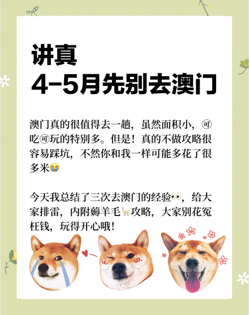 澳门论坛澳门期期中特20澳门特马论坛，探索澳门文化与交流的平台-第3张图片