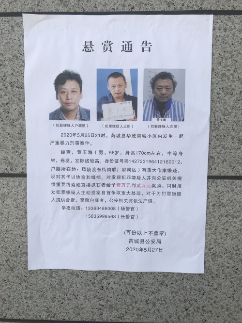 现场报码现场报码，高效信息传递的新篇章