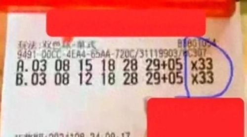 双色球开奖结果揭晓，神秘与惊喜的交织-第3张图片
