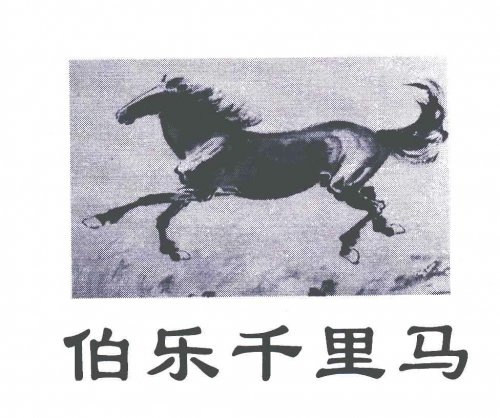 千里马论坛高手贴千里马论坛，探索网络交流的新天地-第2张图片