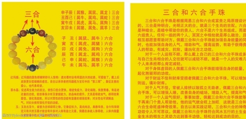49图库六合论坛，探索网络交流的新天地