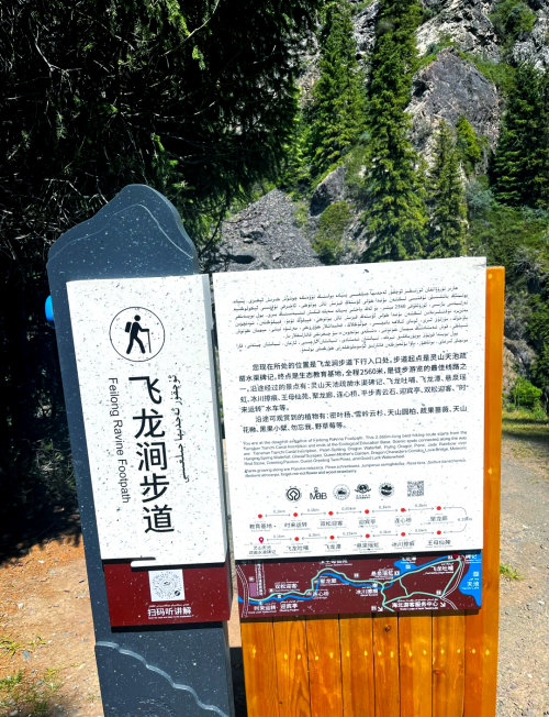 新疆天山天池新疆天山之旅-第2张图片