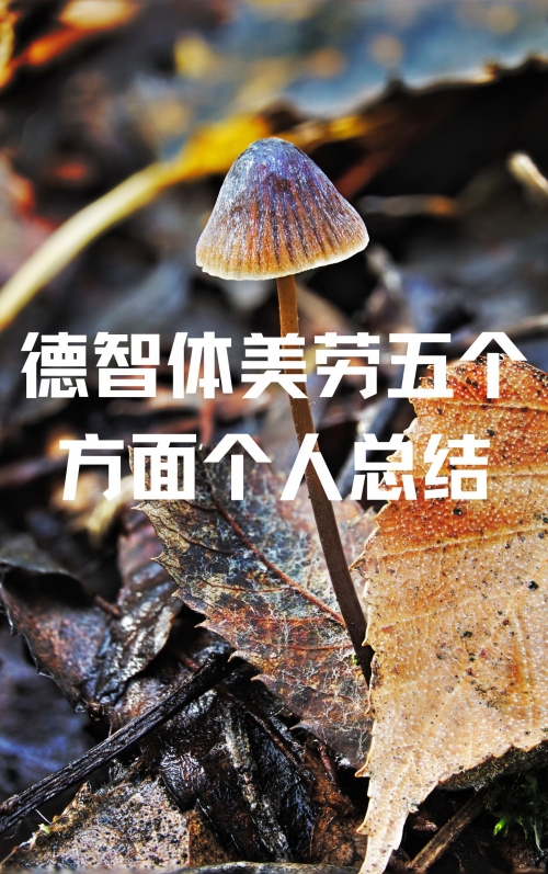 3158.com，消费者权益保护与网络诚信的探索-第1张图片