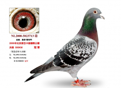 王中王555525开奖论坛王中王论坛，揭秘最新优惠信息