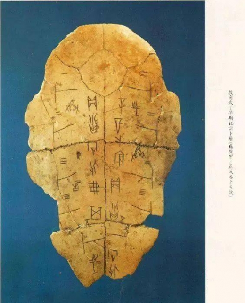 500502百万文字论坛第2期500507百万文字论坛资料，深度解读与实用指南-第3张图片
