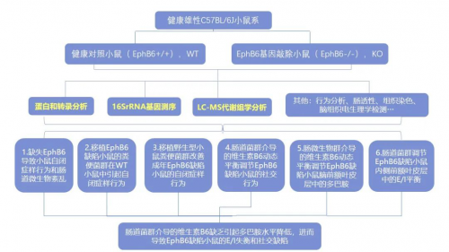 新澳正版资料免费提供文章