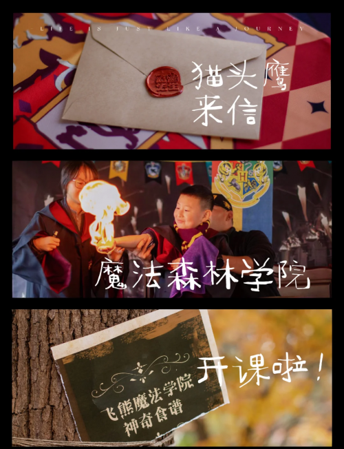 吟游默示录，探索神秘的魔法世界