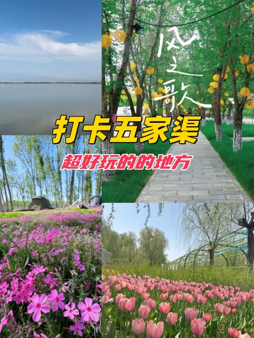 新疆五家渠新疆五家渠，多元文化与美丽风景的融合-第1张图片