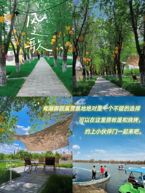 新疆五家渠新疆五家渠，多元文化与美丽风景的融合-第2张图片