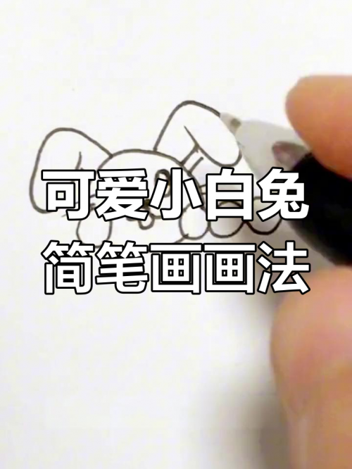 小白兔图片简笔画小白兔图片