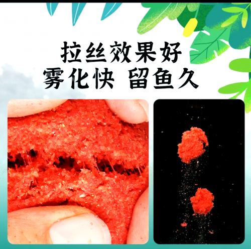 钓鱼王论坛，探索钓鱼爱好者的交流平台