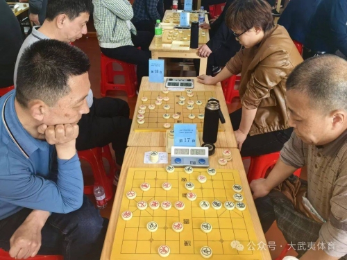中国象棋大师网，探索棋艺新天地-第2张图片