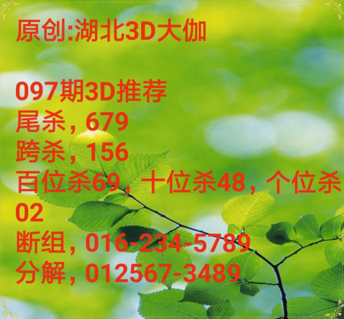 宝贝论坛彩图挂牌期期更新宝贝论坛06693，探索母婴交流的新天地-第1张图片