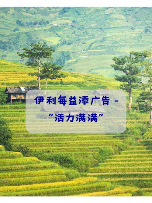 广东快乐十分钟，体验活力与乐趣-第2张图片