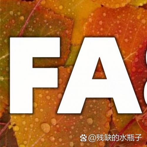 乐动体育在线登陆乐动体育app，运动新体验的革命性应用