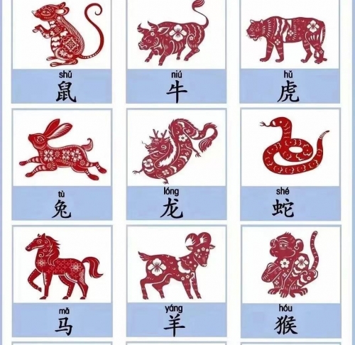 出水芙蓉打一个生肖?出水芙蓉打一生肖