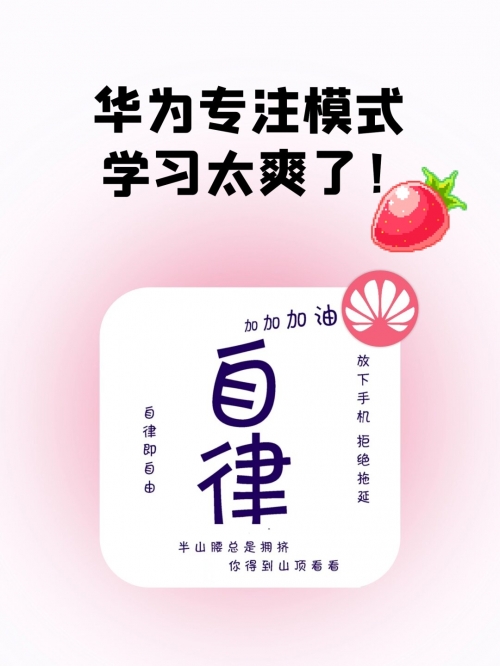 发掘网，网络探索的新篇章-第2张图片