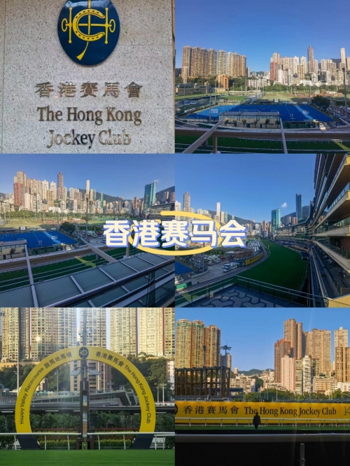 香港特马资料大全香港特马资料大全-第1张图片