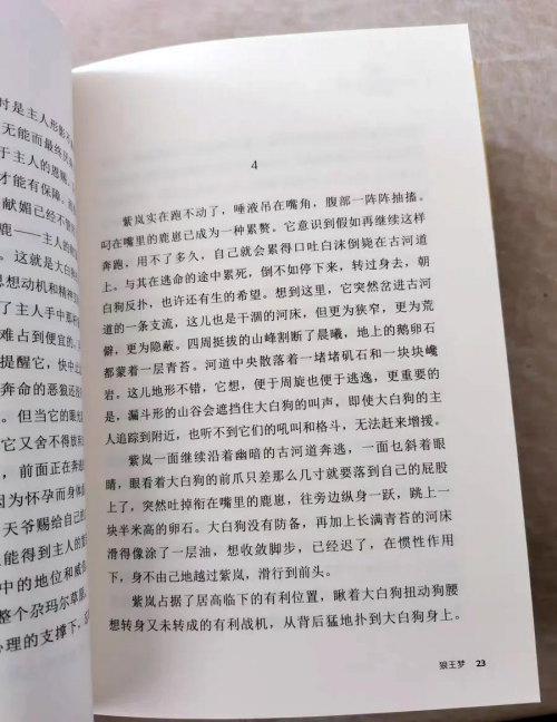 狼王梦全文阅读-第1张图片