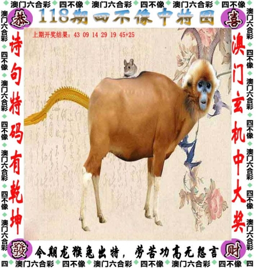 澳门管家婆-肖一码澳门管家婆，肖一码的智慧与魅力