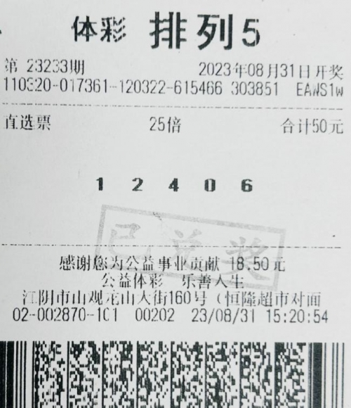 大赢家彩票网，彩票投注的新选择