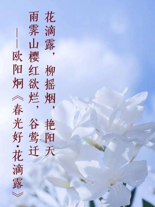 万紫千红艳阳天指什么生肖百度知道万紫千红艳阳天指的是生肖龙。