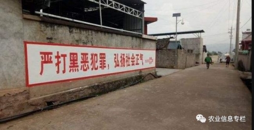 江苏村干部4分40秒视频解析-第3张图片