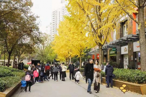 澳门黄金城网站多少黄金城89168澳门官方，璀璨明珠闪耀澳门-第2张图片