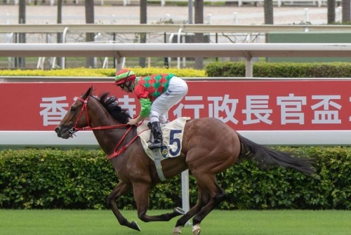 香港马会2021年开奖日期揭晓-第3张图片
