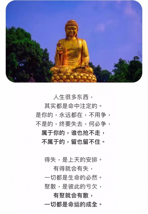 双色球开奖结果98期双色球开奖结果98，幸运降临-第2张图片