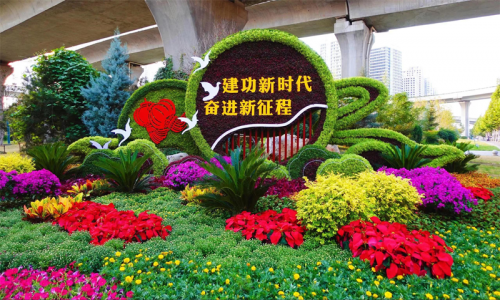 团800郑州，城市发展新篇章-第1张图片