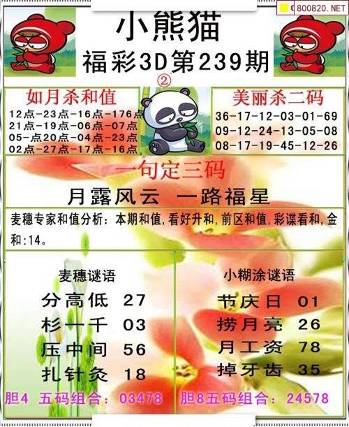 彩霸王，引领潮流的神秘力量-第2张图片