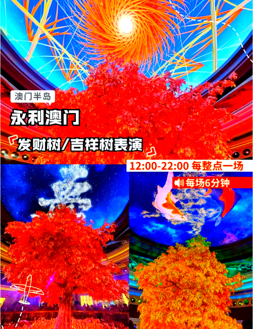 澳门今晚开奖结果图