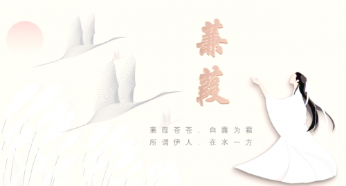 梦想小说耽美梦想下载，追寻美好爱情之旅-第3张图片