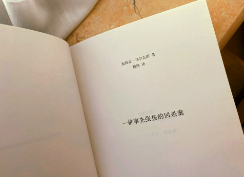 梦想小说耽美梦想下载，追寻美好爱情之旅-第1张图片