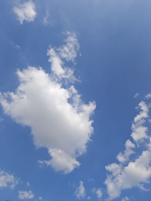 二四六天空好彩944cc资讯二四六天空好彩944cc资讯-第1张图片