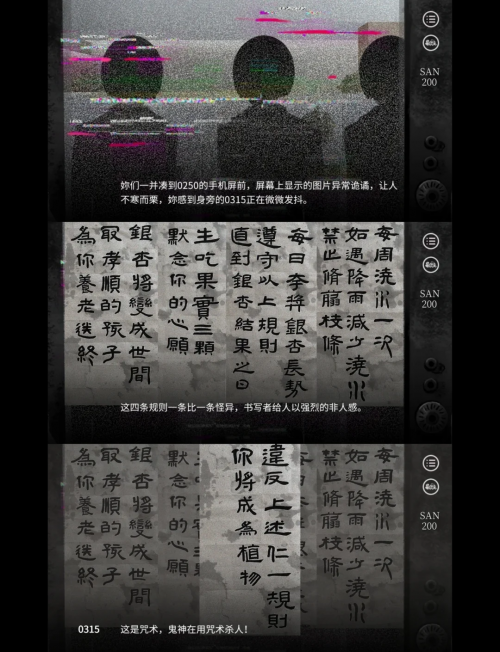 6合开奖结果记录探索6合开奖的神秘世界