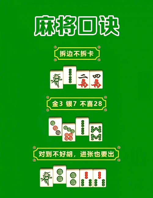澳门资料大全 正版资料258期澳门资料大全，正版资料258期