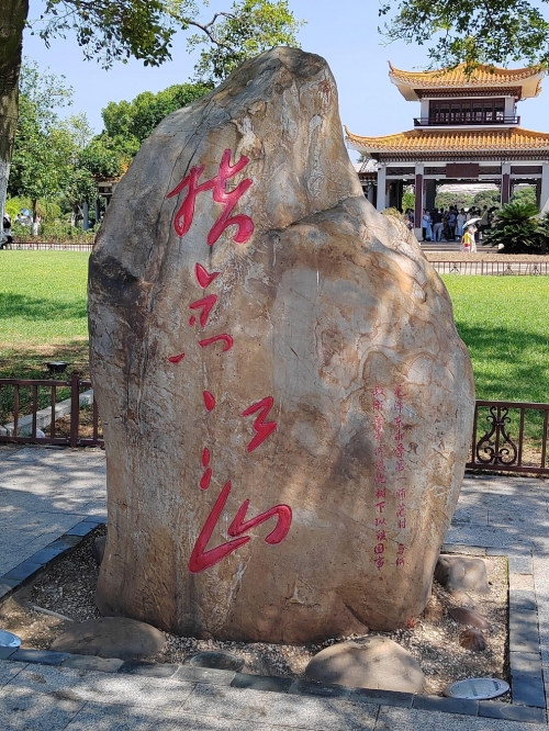 多才多艺网多才多艺网，艺术与才华的交汇之地